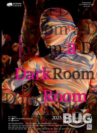 a Dark Room 포스터