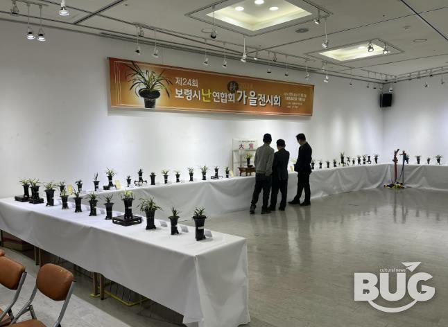 2024년 난 연합회 가을전시회 사진