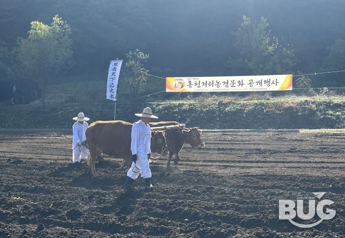 2025 홍천겨리농경문화 공개행사