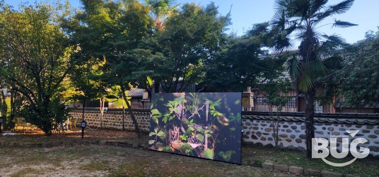 광양 서울대학교 남부연습림 관사...빛의 캔버스로 변신 - 관광과(서울대학교 남부연습림 관사에 설치된 고휘 작가의 ‘사라지는~