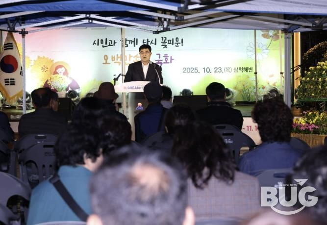 제10회 삼척 국화전시회 점등식