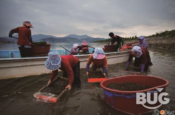 광양시, 세계중요농업유산 등재‧