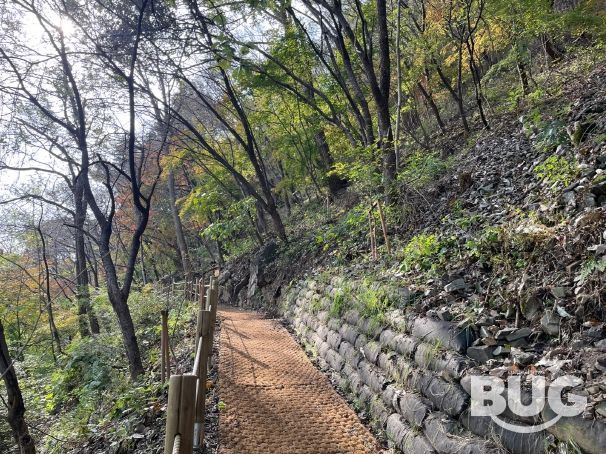 괴강둘레길 전경