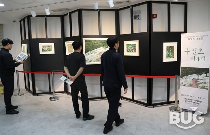 빛고을국민안전체험관, ‘구절초 이야기’ 미술 전시회