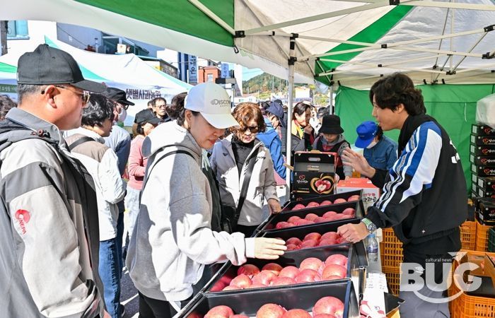 2024년 사과축제 사진