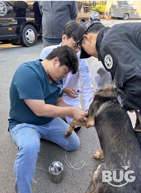 경상국립대학교 수의과대학, APEC 정상회의 기간 경찰견 의료지원